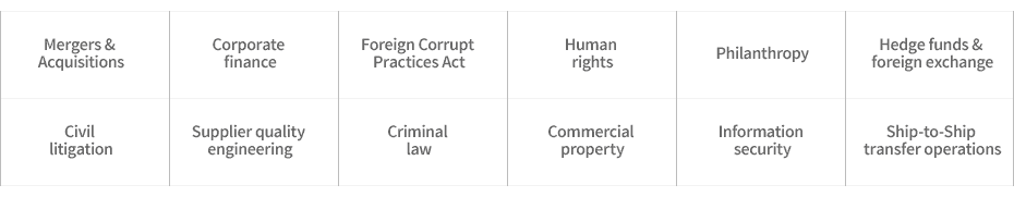 Mergers & Acquisitions, Corporate finance, Foreign Corrupt Practices Act, Human rights, Philanthropy, Hedge funds and foreign exchange, Civil litigation, Supplier quality engineering, Criminal law, Commercial property, Information security