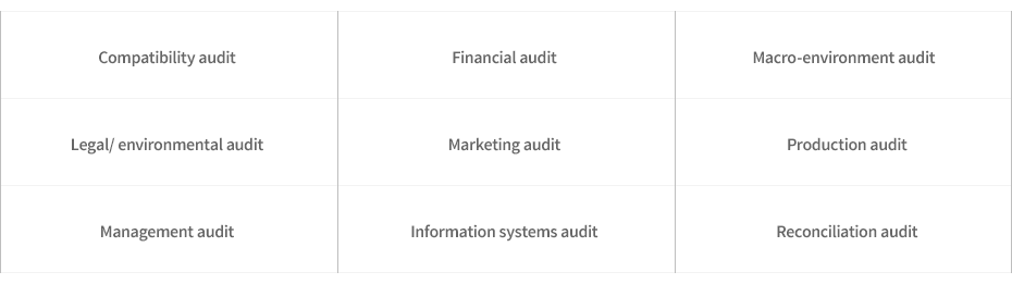Compatibility audit, Financial audit, Macro-environment audit, Legal/environmental audit, Marketing audit, Production audit, Management audit, Information systems audit, Reconciliation audit